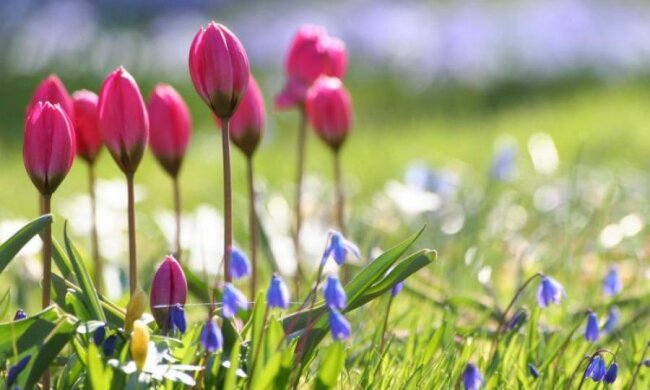Синоптики розповіли, коли повернеться весна