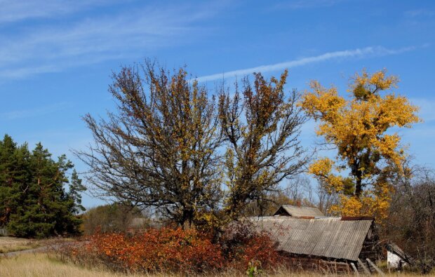 Осень раскрасила забытый Богом Чернобыль в поразительные цвета, зона отчуждения пугает и завораживает: фото