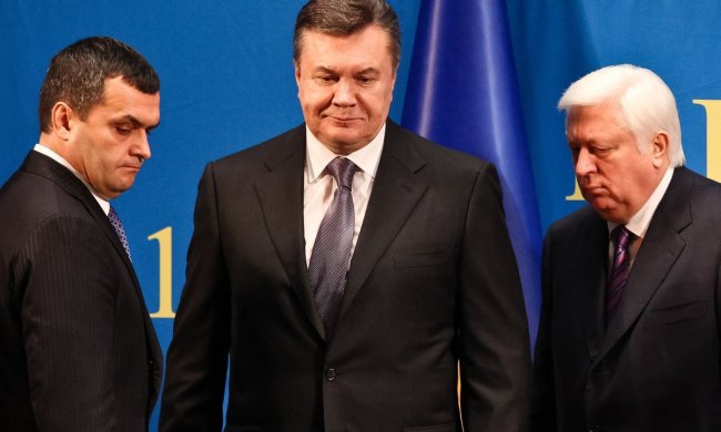 Маєтки Януковича і Пшонки за 5 років обдерли, як липку: награбували награбоване