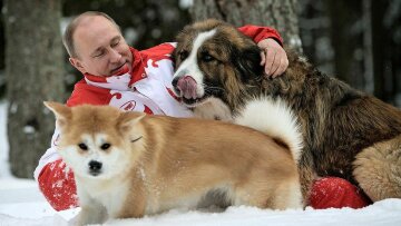 Путін хотів показати і свою "людяність" – в 2013 були показані фото, де він грає з собаками