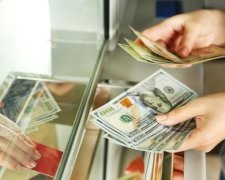 На які товари вплине зростання долара
