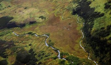 Токіо може відмовитися від частини спірних островів на Курилах