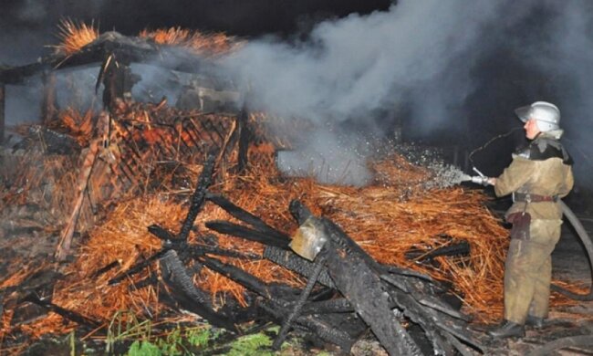 На запорізькій "Хортиці" горіли дерев'яні навіси (фото)