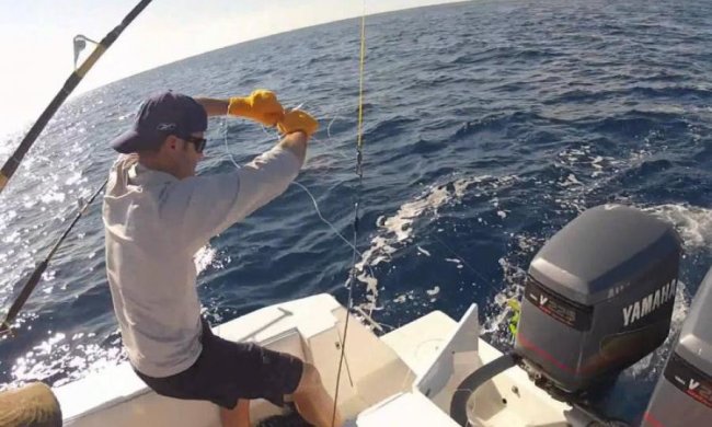  Существо с человеческой челюстью напугало бывалых рыбаков: видео