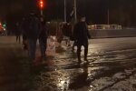 Ожеледиця, скріншот відео