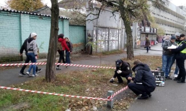 "Страшно вийти з дому": зграї бродячих кусак тероризують містян, - про перші жертви говорять пошепки