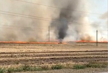 Огненный смерч в Башкирии, скриншот с видео