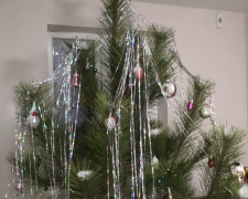 Новорічна ялинка, зображення із соцмереж