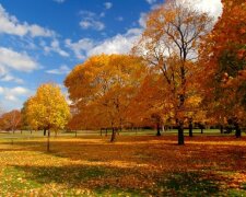 Погода в Україні, фото з відкритих джерел