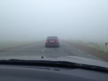 туман