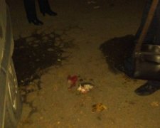 Стрілянина в Миколаєві: біля виборчої дільниці поранено голову громадської організації