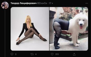 Тред з Тіною Кароль, фото: Twitter