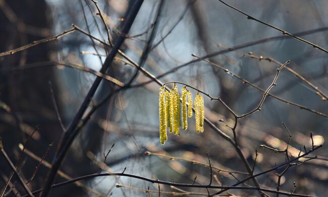 Погода в Україні,  фото: pixabay