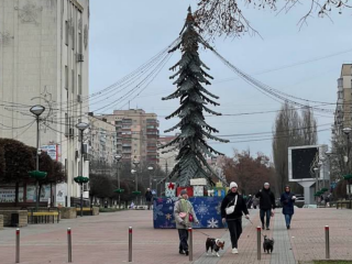 Ялинка в Броварах, фото з соцмереж
