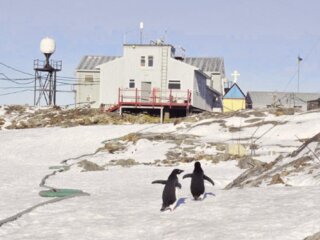 Фото: "Академік Вернадський"