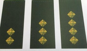 Нові погони української армії скопіювали у Третього Рейху