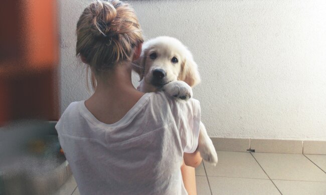 Дівчина з собачкою, favim.com