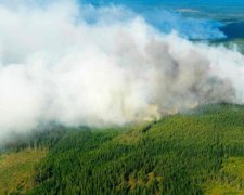 На леса Швеции сбросили бомбы: что происходит
