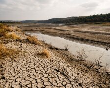 Дністровське водосховище обміління посуха