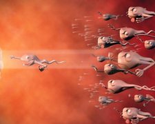 Скажи стоп: от чего нужно отказаться при планировании беременности 