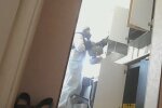 У Дніпрі багатоповерхівку атакували блохи з тарганами — загризли дитину, мешканці не витримують