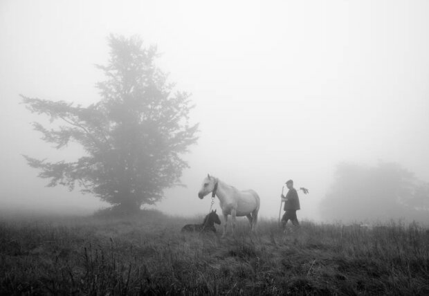 Карпатські пастухи, фото  Юрко Дячишин