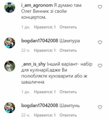 комментарии к публикации, скриншот: Instagram