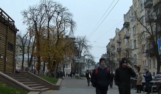Вешает на деревьях - киевлянин придумал нестандартный способ помощи бездомным, поймут не все