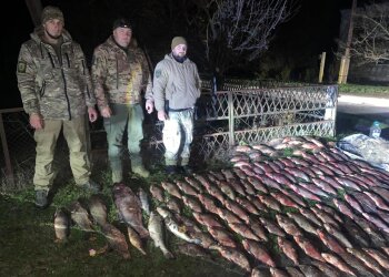 незаконний вилов риби