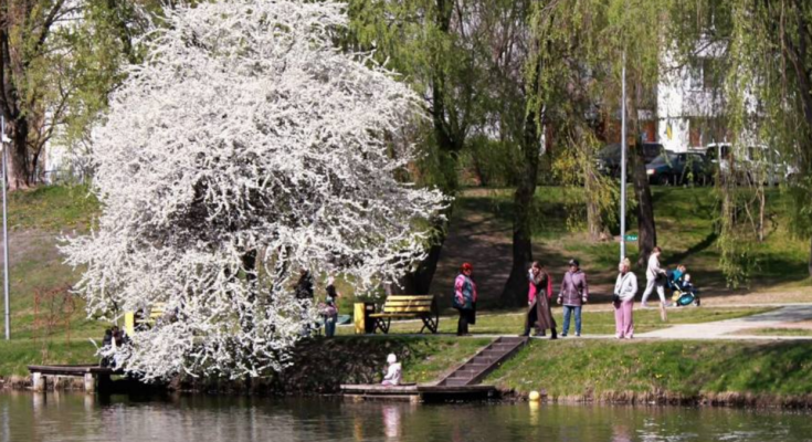 Парк, прогулка, украинцы, фото из соцсетей