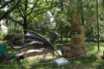 Фентезі-парк "Живі дракони і чарівні дерева", фото: Знай.uа