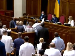 перепалка між Разумковим і нардепами з ЄС, скрін з відео