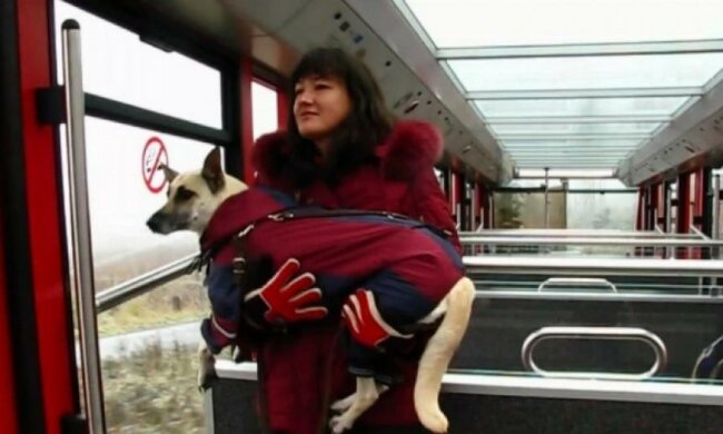 Львовская собака покорила 20 вершин