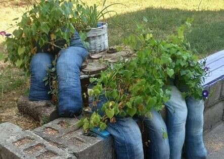 Під Дніпром клумби завалили джинсами, все дуже дивно: "Замість квітів?!"