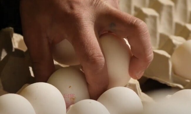 Яйца, скриншот: Youtube