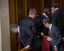 В українське міністерство  взяли на роботу кота і навіть назвали обов'язки