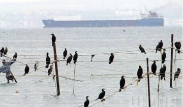 Росія заарештувала турецьке судно