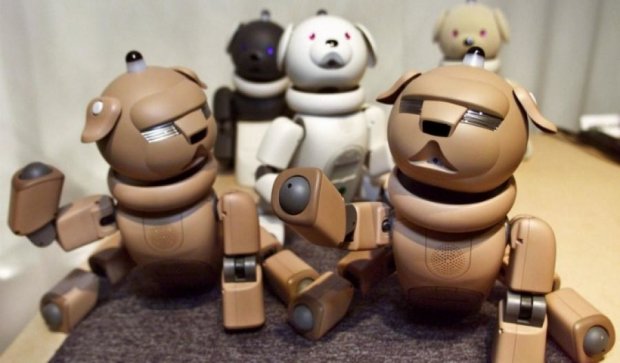 Sony будет выпускать роботов-собак
