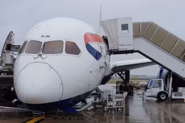 Boeing 787 British Airways Фото:Тwitter