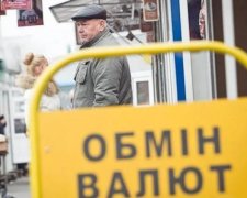 Курс валют на 1 листопада: гривня повернула колишню могутність