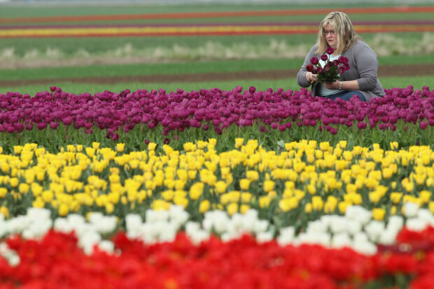 Девушка с цветами, фото: Getty Images
