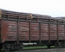 Львівські активісти виявили 200 вагонів контрабандного лісу