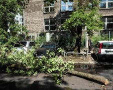 Урагани в Польщі: у мережі показали моторошні наслідки
