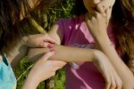 Киян попередили про напад небезпечних кліщів зі спірохетами