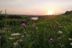 погода в Украине, фото pxhere