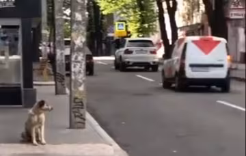Скрін, відео YouTube