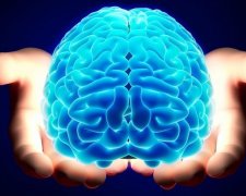 Вчені зробили невтішні для злих людей висновки