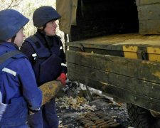 Под Харьковом в лесополосе нашли 778 боеприпасов (фото)