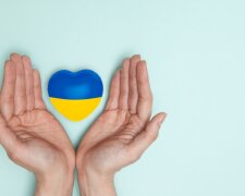 Помощь для ВПЛ в 2026 году