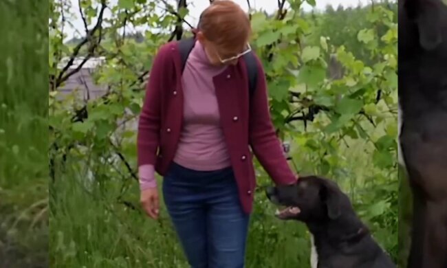 Семья вернулась в родное село, фото: скриншот из видео